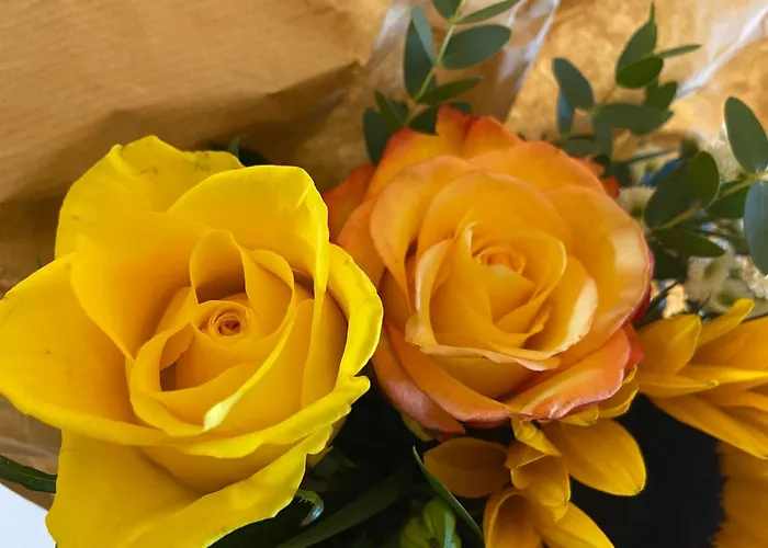 Гостевой дом Ambiente Et Art Дюссельдорф