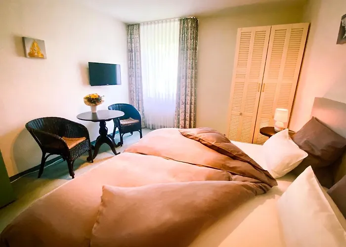 Ambiente Et Art Gæstehus Düsseldorf