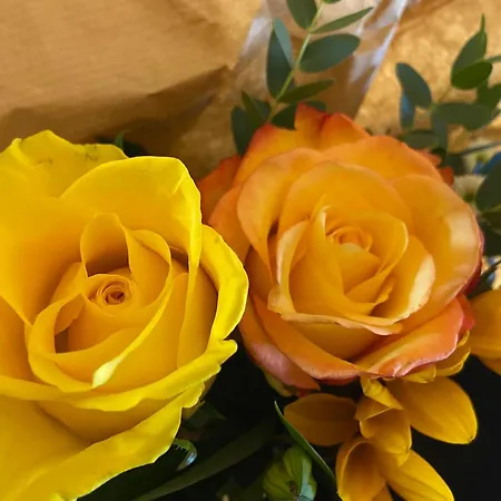 Гостевой дом Ambiente Et Art Дюссельдорф